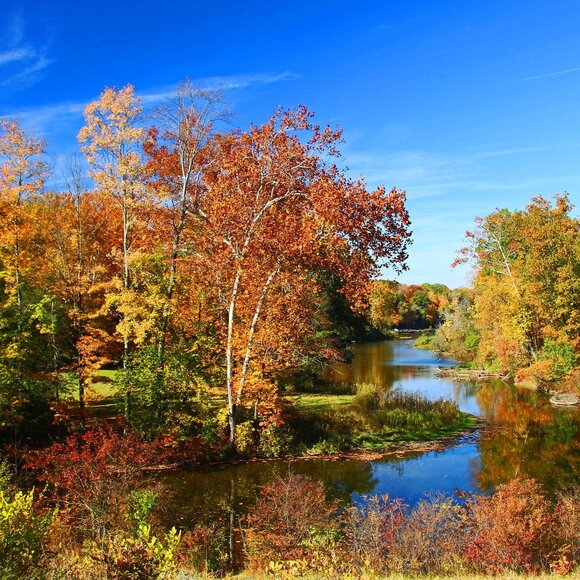 MINT Sigma for Canon EF-S 18-200mmF3.5-6.3 II DC OS HSM Lens+for Mirrorless,DSLR - Picture 16 of 16